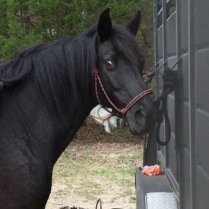 Meet your Posher, Jo